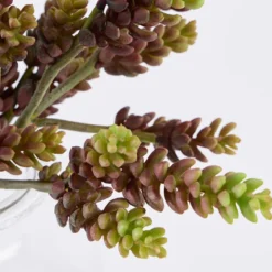 Artificial Burgundy Sedum Burrito Succulent Stem