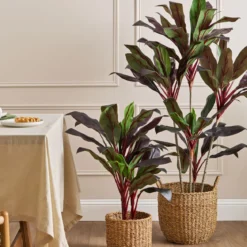 Artificial Dark Cordyline Plant