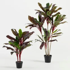 Artificial Dark Cordyline Plant