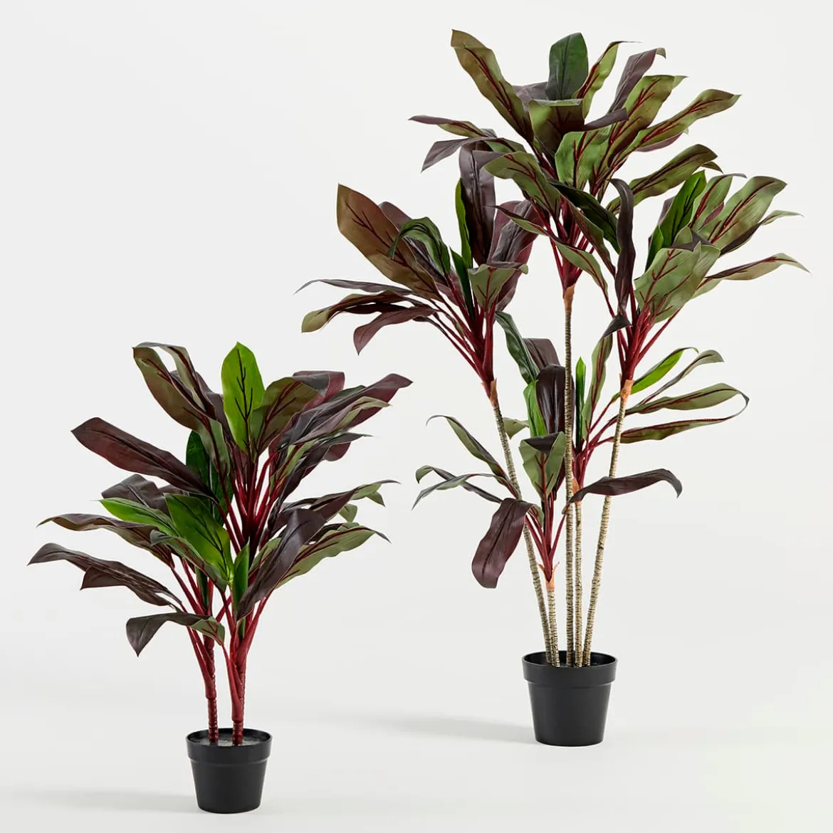 Artificial Dark Cordyline Plant