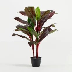 Artificial Dark Cordyline Plant