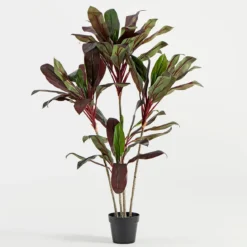 Artificial Dark Cordyline Plant