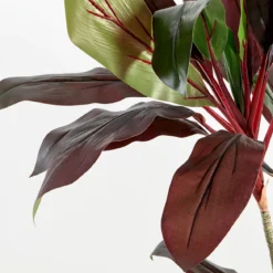 Artificial Dark Cordyline Plant