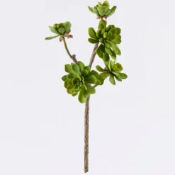 Artificial Echeveria Succulent Stem