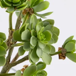 Artificial Echeveria Succulent Stem