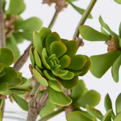 Artificial Echeveria Succulent Stem