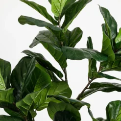 Artificial Fiddle Leaf Fig