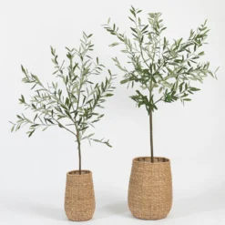 Artificial Fruitless Olive Tree