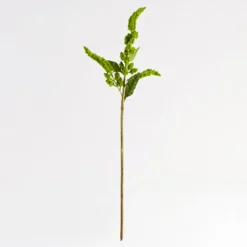 Artificial Millet Stem