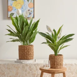 Artificial Mini Peace Lily Plant