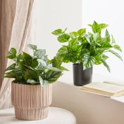 Artificial Mini Pothos Dark Green Plant