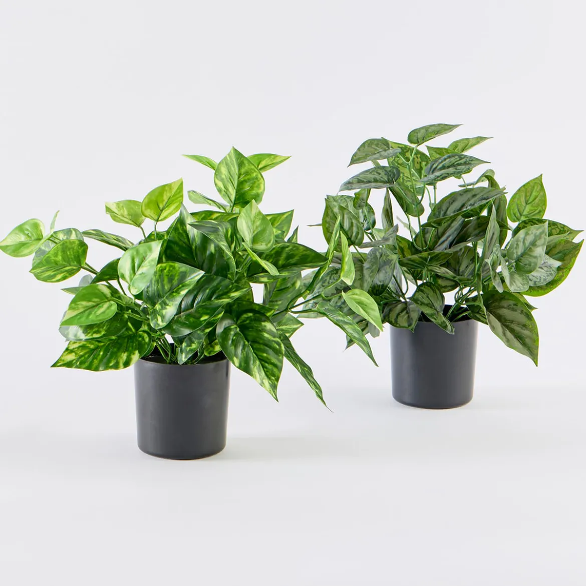 Artificial Mini Pothos Dark Green Plant