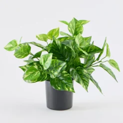 Artificial Mini Pothos Light Green Plant