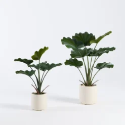 Artificial Potted Fan Palm