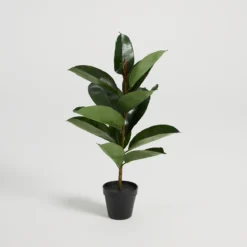 Artificial Rubber Fig Tree