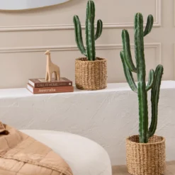 Artificial San Pedro Cactus