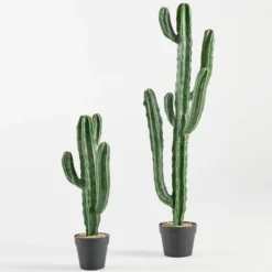 Artificial San Pedro Cactus