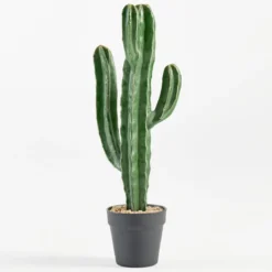 Artificial San Pedro Cactus