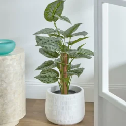 Artificial Satin Pothos Tree