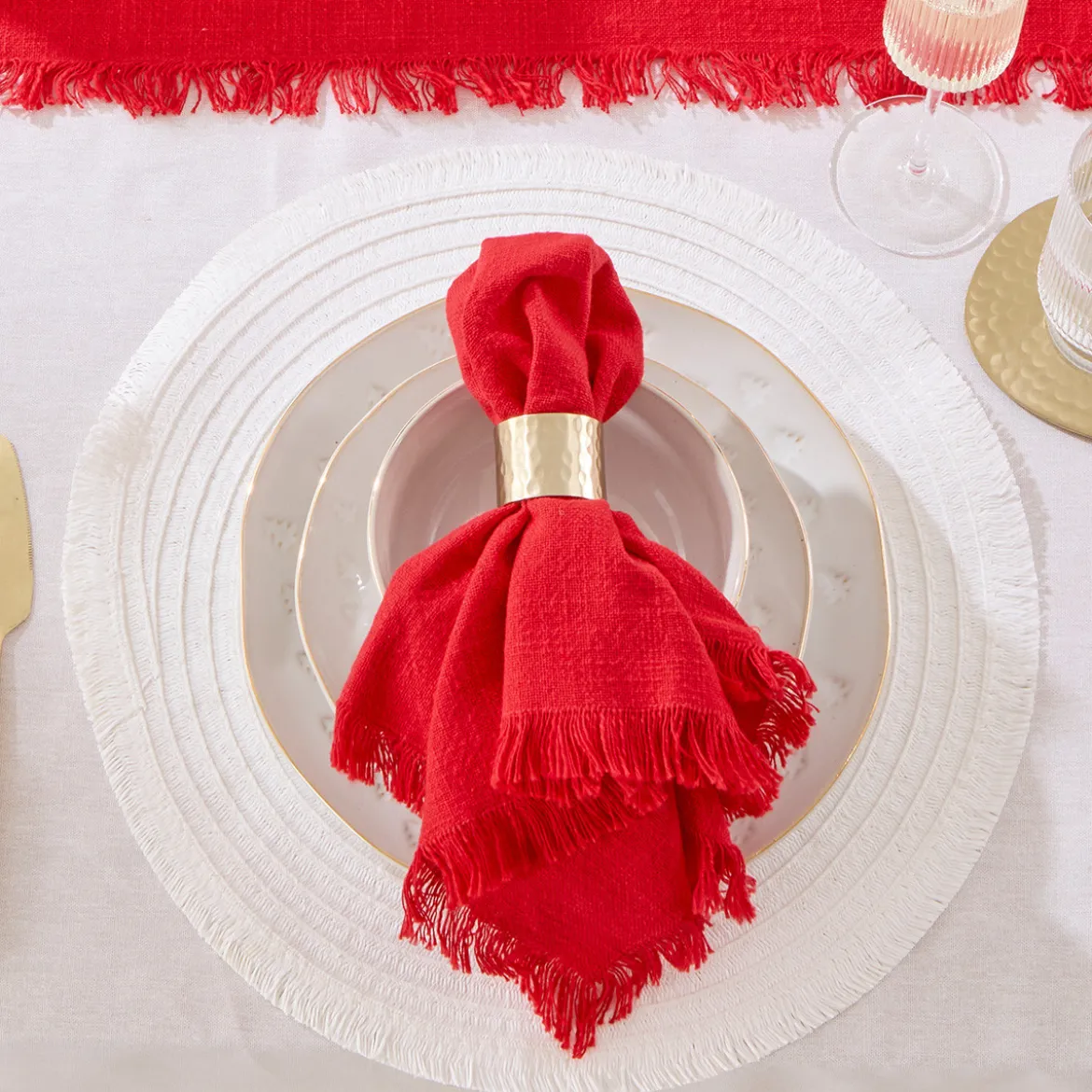 Ashra Berry Fringed Napkin Set of 4