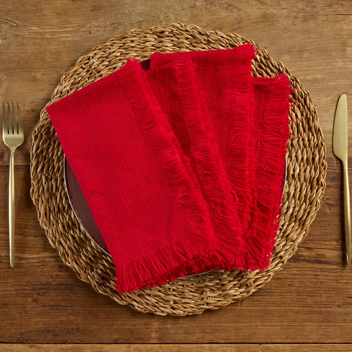 Ashra Berry Fringed Napkin Set of 4