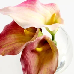 Becca Artificial Lilly in Vase