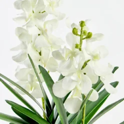 Carla Artificial Vanda Orchid in Vase