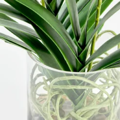 Carla Artificial Vanda Orchid in Vase