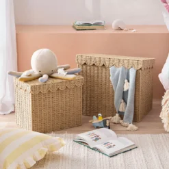 Delilah Basket Storage Trunk