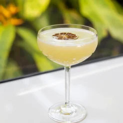 Dried Lime Cocktail Garnish