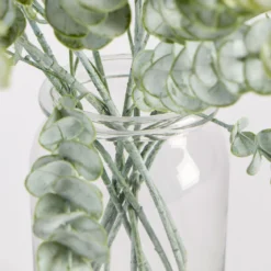 Dusty Eucalyptus Stem