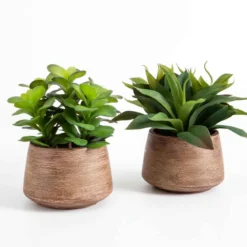 Eden Artificial Yucca Potted Succulent