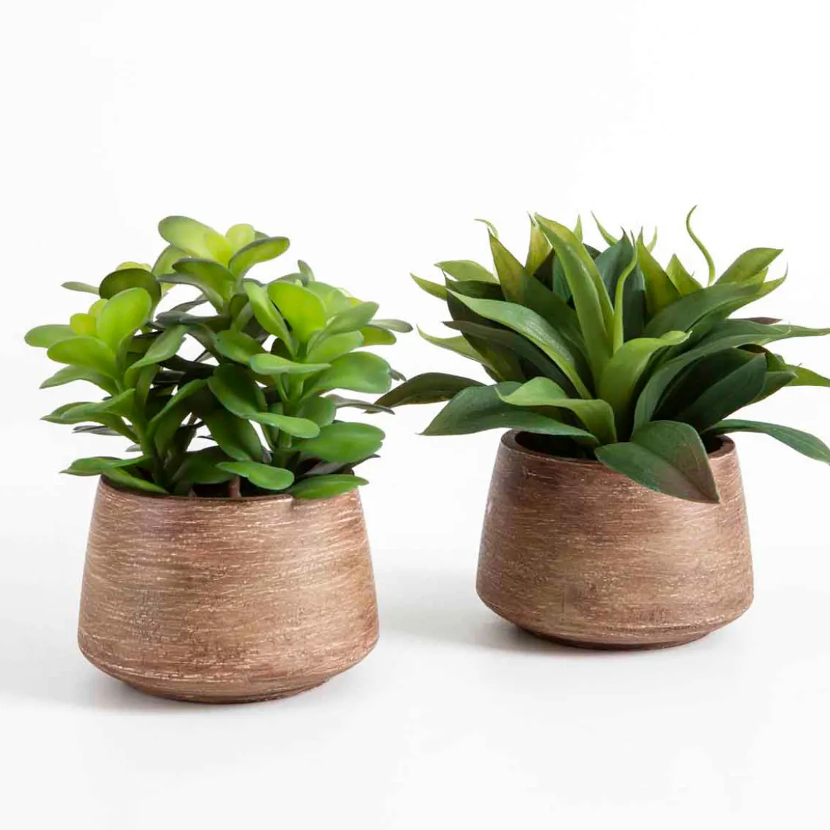Eden Artificial Yucca Potted Succulent