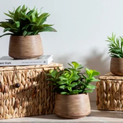 Eden Artificial Yucca Potted Succulent