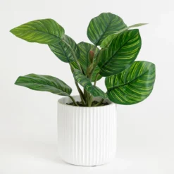 Elly Calathea Artificial Potted Succulent
