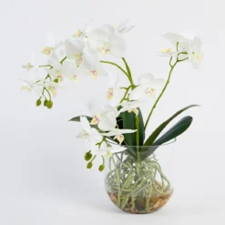 Flora Artificial Phalaenopsis Orchid in Vase