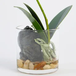 Flora Artificial Phalaenopsis Orchid in Vase