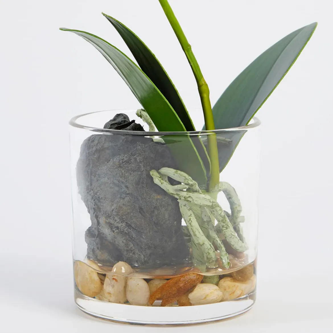 Flora Artificial Phalaenopsis Orchid in Vase