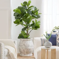 Garcia Ceramic Decorative Pot