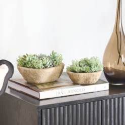 Greyson Potted Artificial Succulent