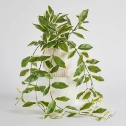 Hali Pothos Artificial Potted Plant