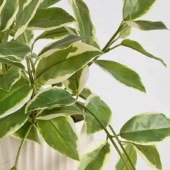 Hali Pothos Artificial Potted Plant