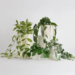 Hali Pothos Artificial Potted Plant