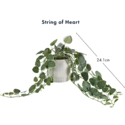 Hali String of Hearts Artificial Potted Plant