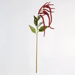 Hanging Millet Stem