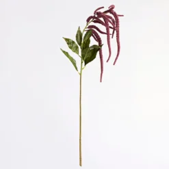 Hanging Millet Stem