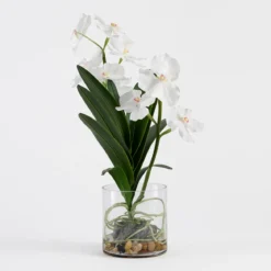 Lola Artificial Vanda Orchid in Vase