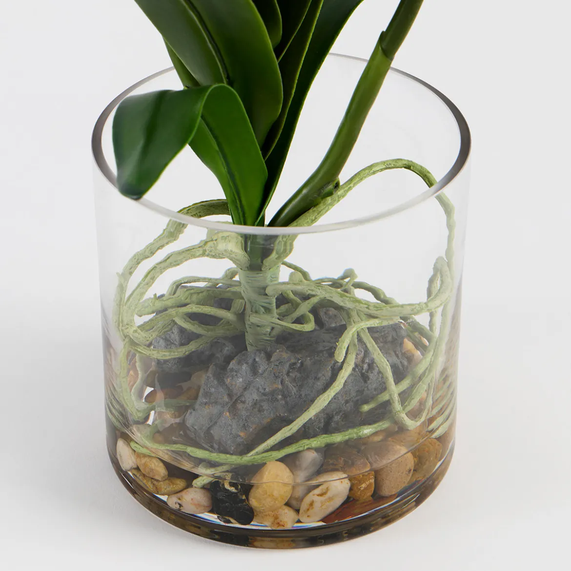 Lola Artificial Vanda Orchid in Vase