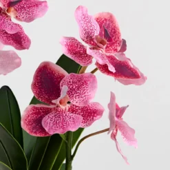 Lola Pink Artificial Vanda Orchid in Vase