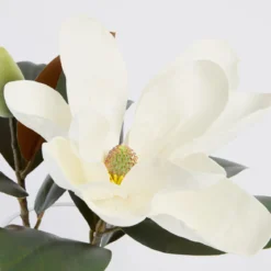 Meadow Artificial Magnolia in Vase